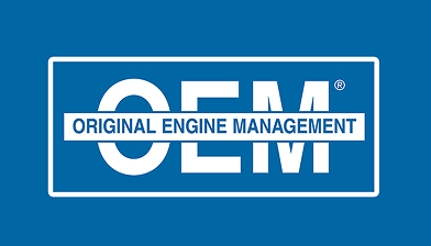 oem&reg; Logo
